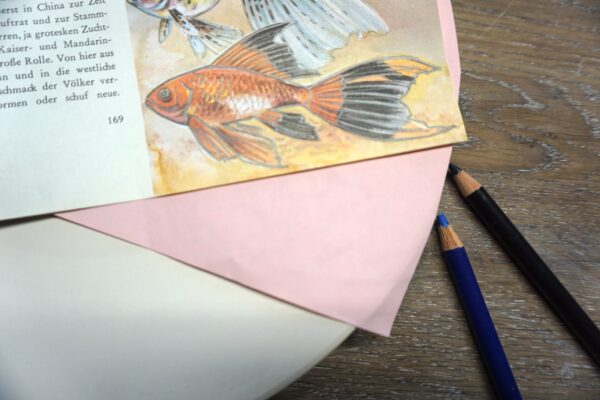 Pauspapier 1 Blatt A4 – Bild 3