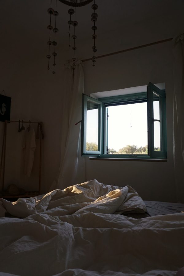 Südflügel Blick aus Südfenster